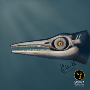 Ichthyosaur by Assata Caldwell Worrell