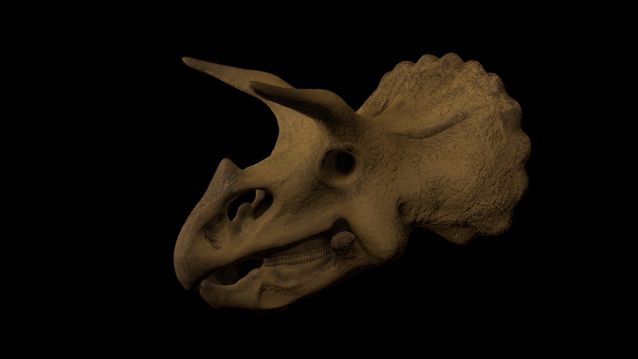 Triceratops