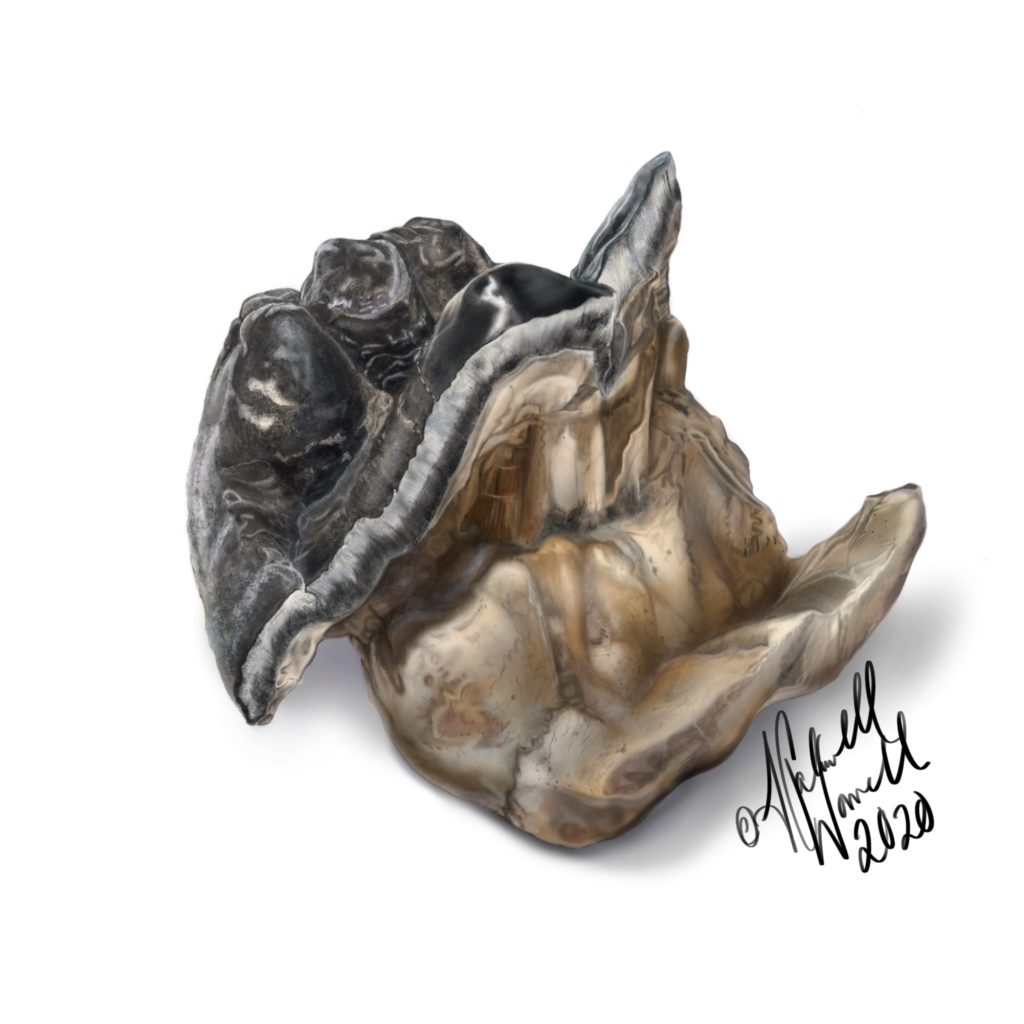 Mastodon Tooth in Color
