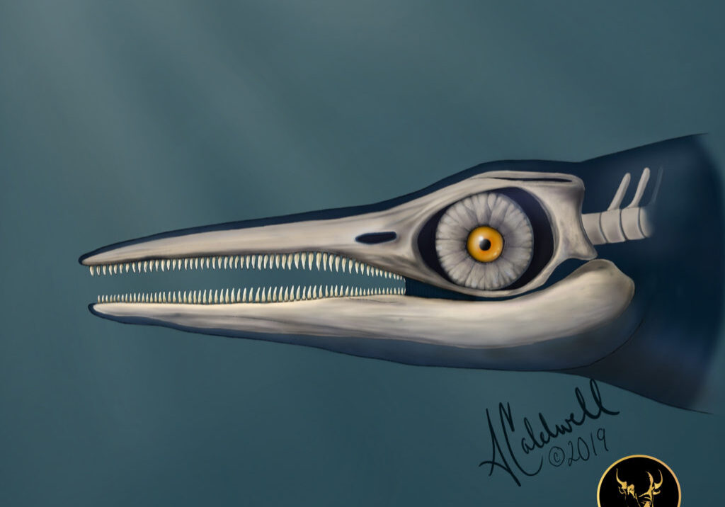 Ichthyosaur by Assata Caldwell Worrell